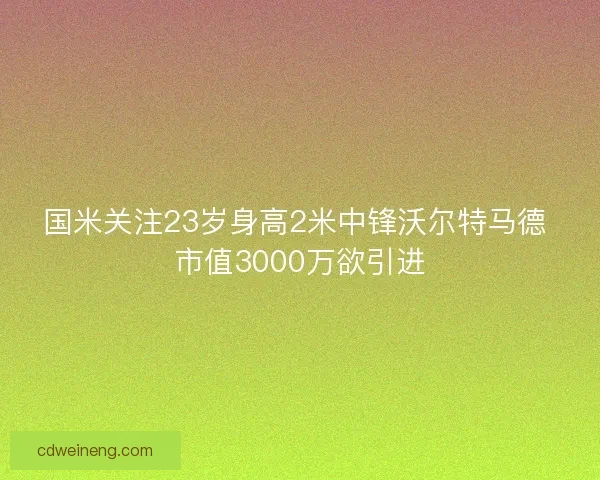 国米关注23岁身高2米中锋沃尔特马德 市值3000万欲引进